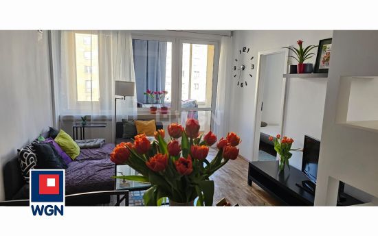 Mieszkanie na  wynajem Warszawa - Grójecka, 2 pokoje, balkon, klimatyzacja